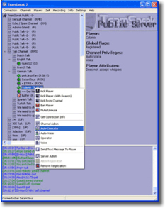 teamspeak2_server